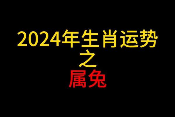 1951年属兔2024年运势及运程_2024生肖兔全年运势大全及运程