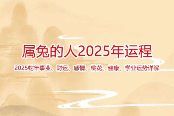 2011年属兔男孩2025年运势及运程_2025属兔大忌颜色
