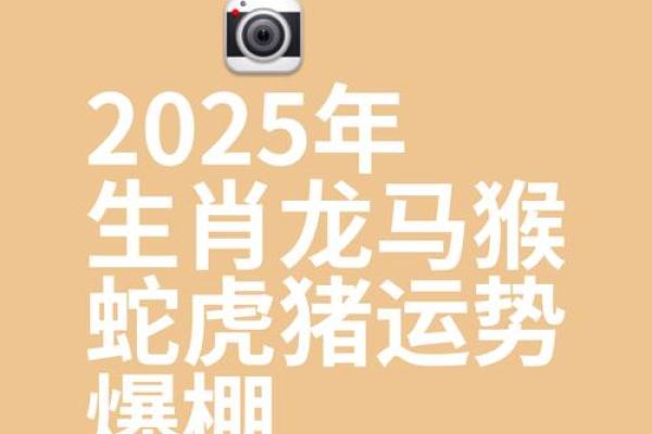 1988年生肖龙2025年运势_1988属龙在2025年运势