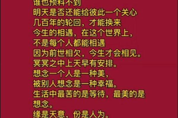 缘分妙不可言揭秘命运中的奇妙相遇 缘分妙不可言揭秘命运中的奇妙相遇