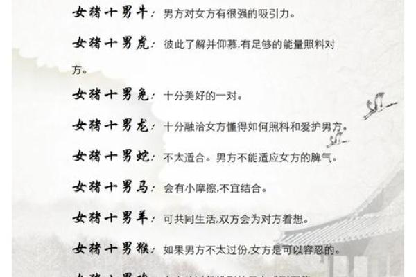 属猪2025最佳婚期