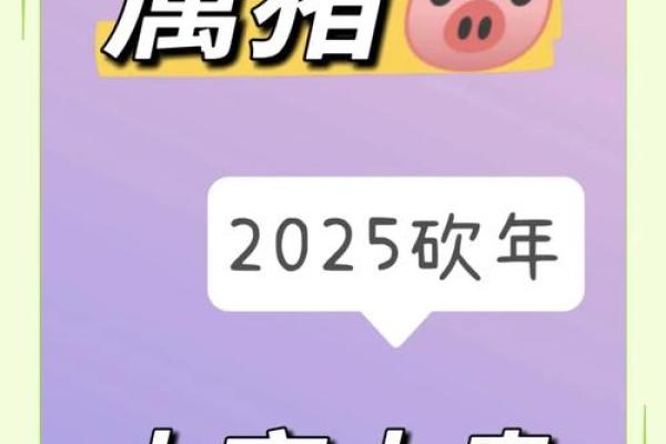2007年属猪在2025年学业 2025属猪血光之灾 2007年属猪在2025年学业 2025属猪血光之灾