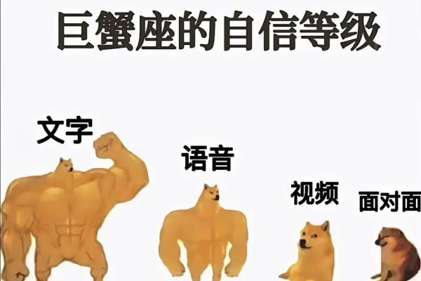 巨蟹座理想型(巨蟹座理想型陶白白) 巨蟹座理想型(巨蟹座理想型陶白白)