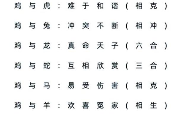 属猪和属狗的婚姻怎么样 属猪和属狗的婚姻缘分天注定还是性格互补