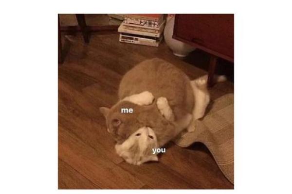 金牛男与射手女谁更离不开谁 金牛男与射手女谁更离不开谁