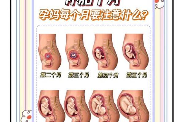 如何择生子吉日  孕妇必看的择日法则