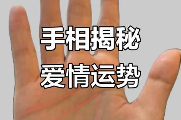 《手相学习百科》：感情线