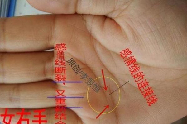 《手相学习百科》：感情线