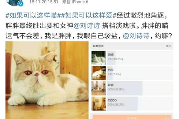 以巩时为名女孩起名攻略，百科大全