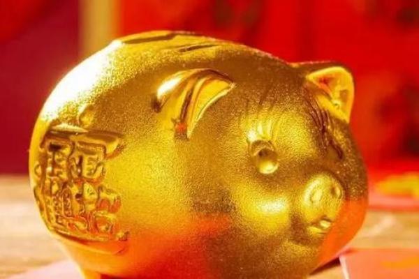 属猪是哪一年出生的 属猪的男孩出生吉日