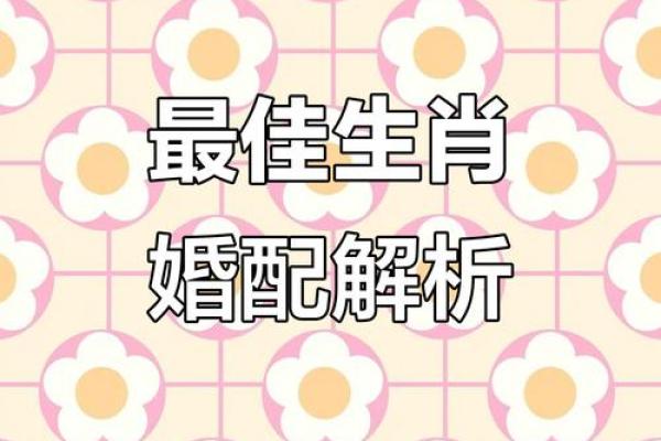 婚姻配对属龙和属猪姻缘怎么样