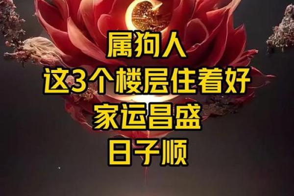 属狗出生最好六个吉日,属狗什么日子出生最好