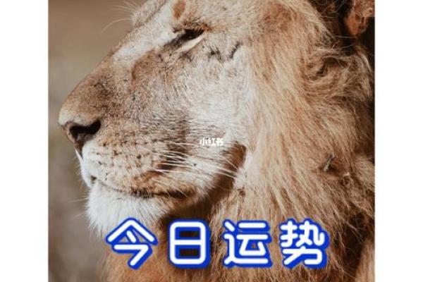 星座19年8月1日运势