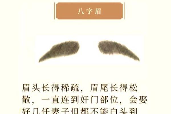 八字眉的男人能嫁吗 八字眉怎么改善 八字眉的男人能嫁吗 八字眉怎么改善