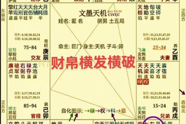 紫薇斗数命盘如何排