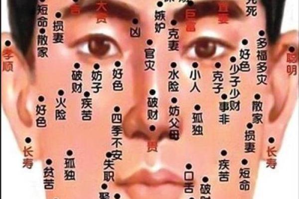 如何从下巴看相算命