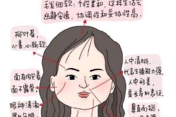 如何从下巴看相算命