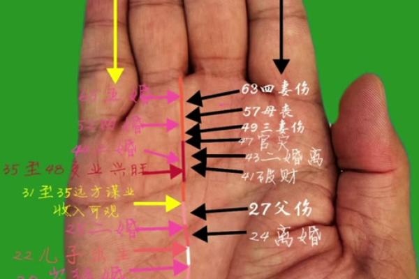 女手相算命图解