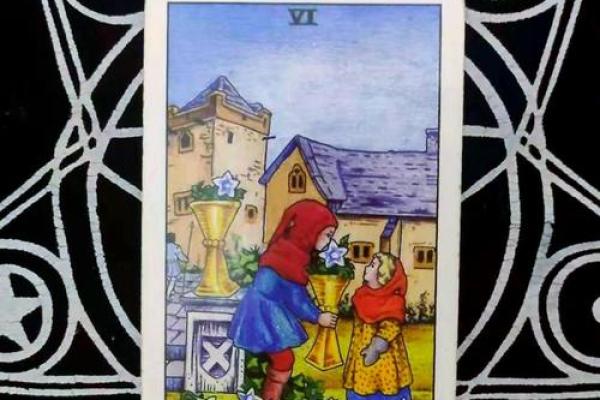 塔罗测试爱情，追求心仪对象许久不成功，还应该继续坚持么？