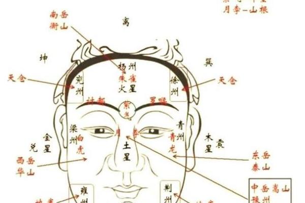 紫薇星入福德宫性格孤僻