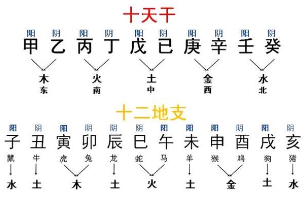 生辰八字，不再是迷：一篇文章教你轻松推算