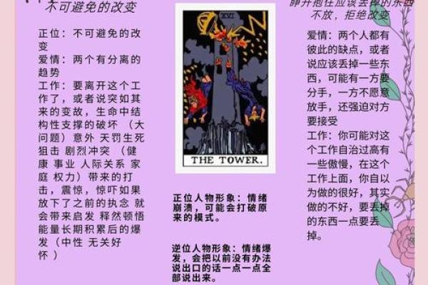塔罗测试：未来另一半有什么特征
