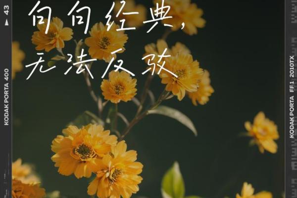 八字看老公花心,八字看另一半花心