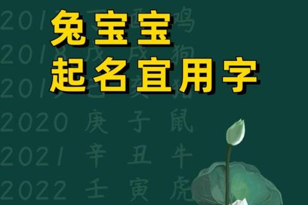 2025兔宝宝起名生辰八字